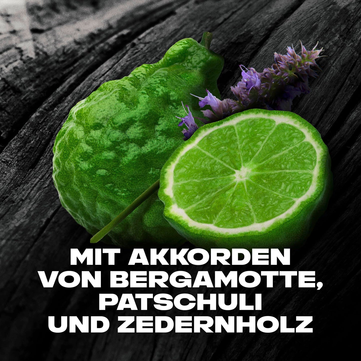 Axe 3-in-1 Duschgel & Shampoo Black für ganztägige Frische, unwiderstehlichen Duft und eine angenehme Dusche dermatologisch getestet 6x 250 ml ,Packaging may vary